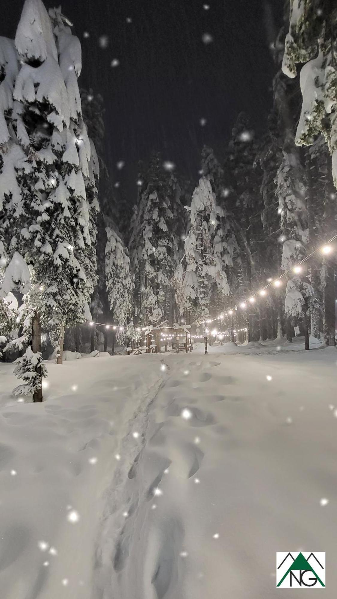 Pinewood Ang Luxurious Apartment A32 Borovets Exterior foto